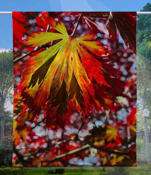 Das rote Blatt, Scheibenhänger eckig